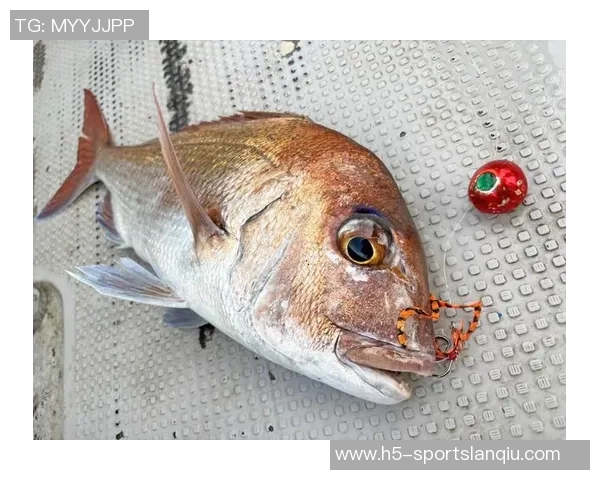 拉什福德分享海钓乐趣笑容灿烂展现多彩业余生活